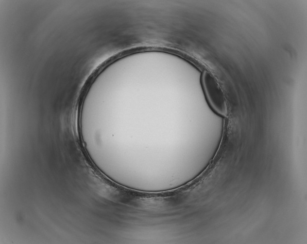 X0000111511272200908041215
