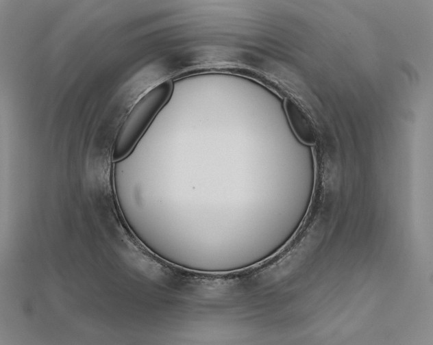 X0000111511273200908041215