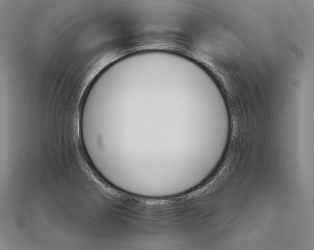 X0000111511274200908041215