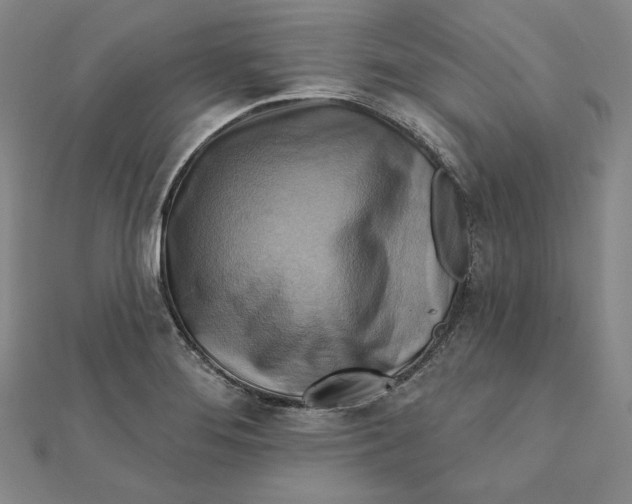 X0000111511276200908041215