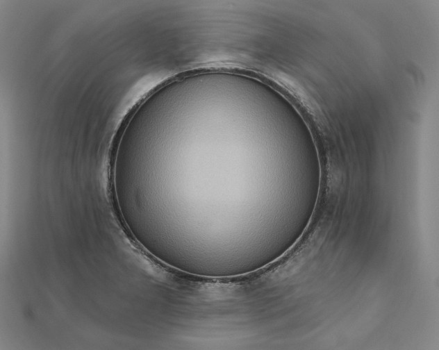 X0000111511277200908041215