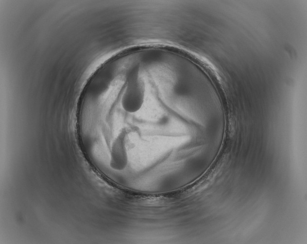 X0000111511279200908041215