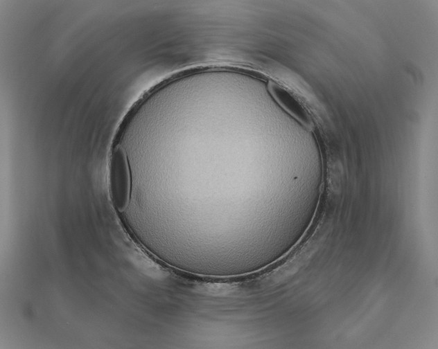 X0000111511280200908041215