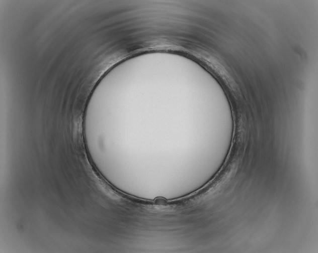 X0000111511281200908041215