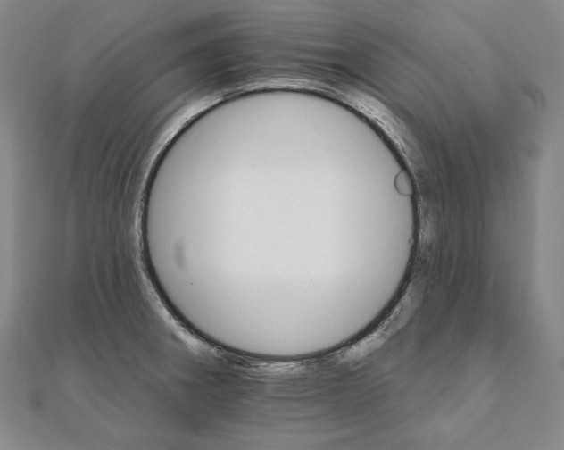 X0000111511282200908041215