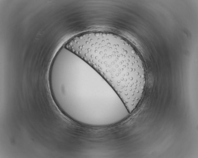 X0000111511283200908041215