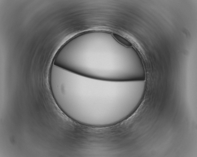 X0000111511284200908041215
