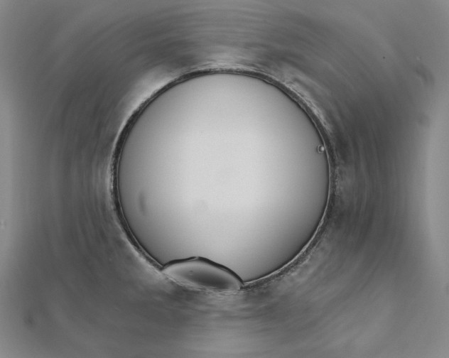 X0000111511285200908041215