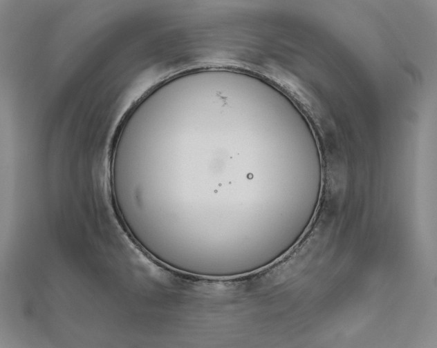 X0000111511286200908041215