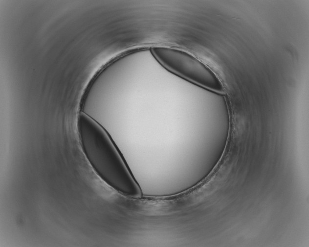 X0000111511288200908041215