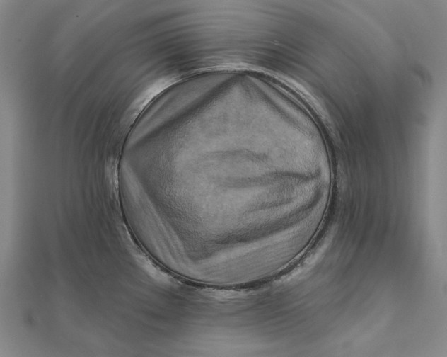 X0000111511289200908041215