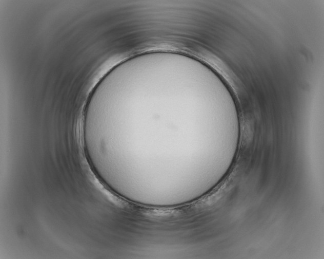 X0000111511290200908041215
