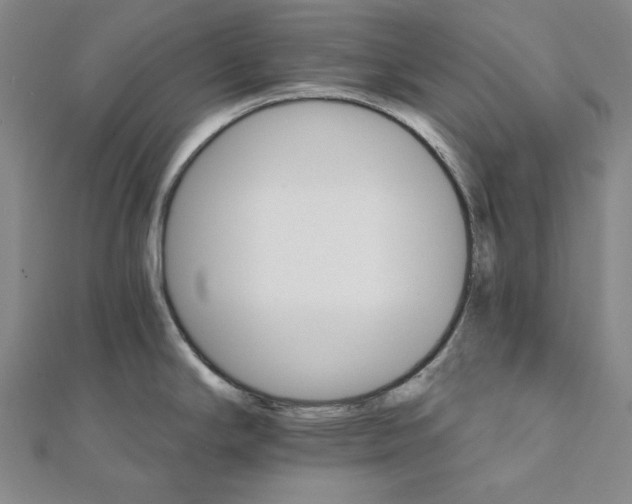 X0000111511294200908041215
