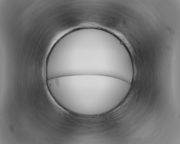 X0000111511295200908041215