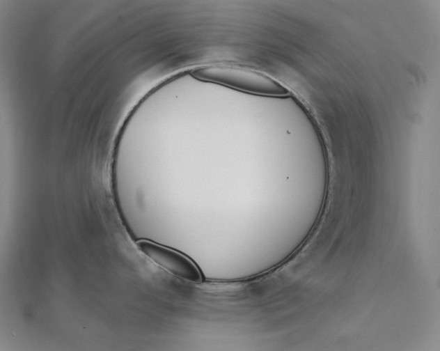X0000111511296200908041214