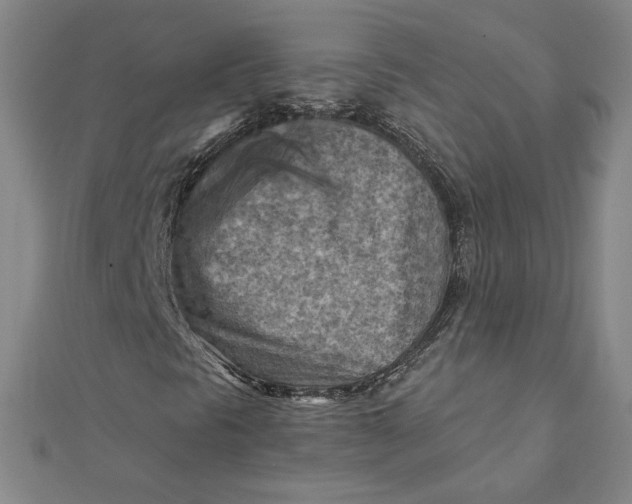 X0000111511297200908041214