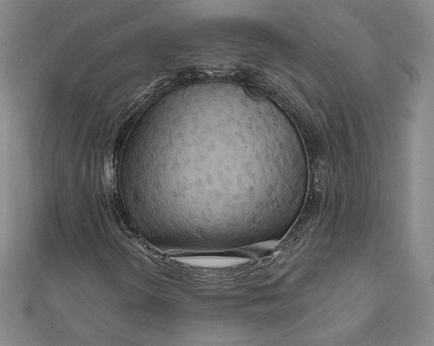 X0000111511298200908041214