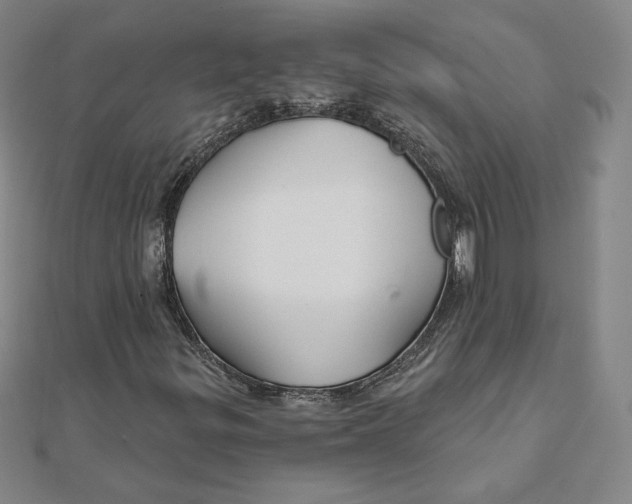 X0000111511299200908041214