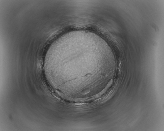 X0000111511300200908041214