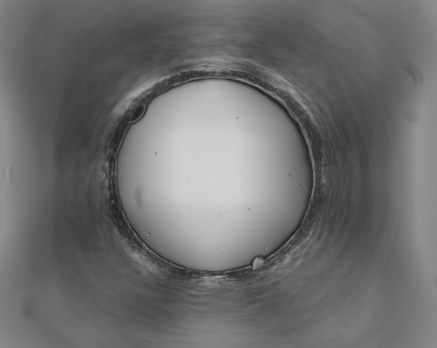 X0000111511304200908041214