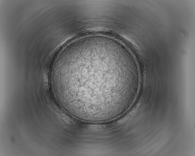 X0000111511305200908041214