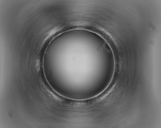 X0000111511306200908041214
