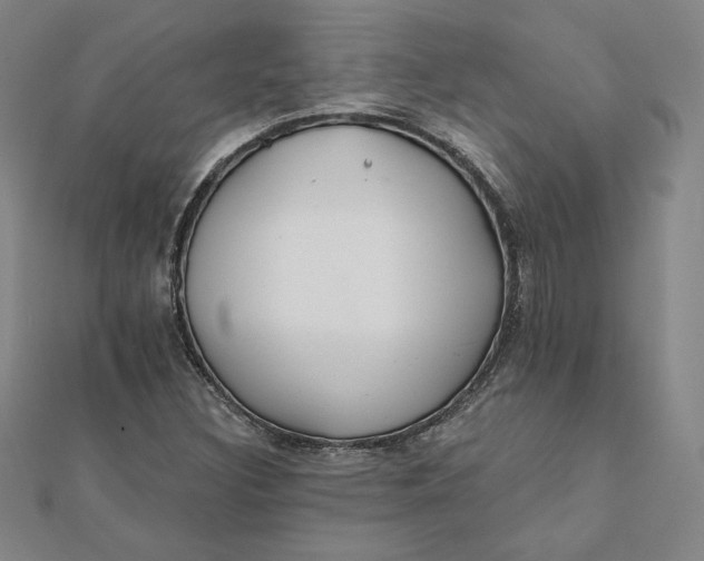 X0000111511308200908041214