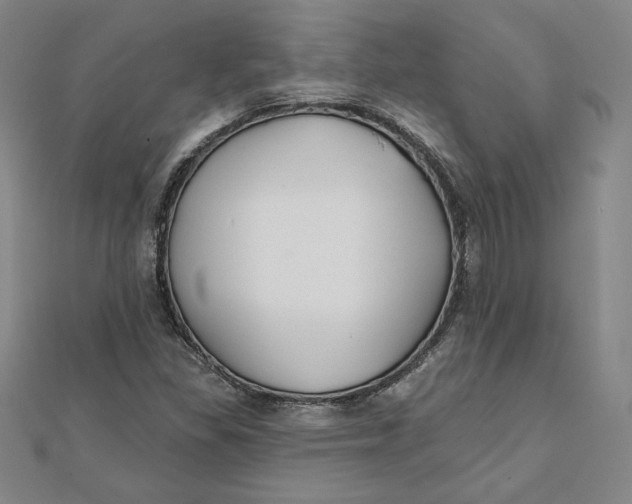 X0000111511309200908041214