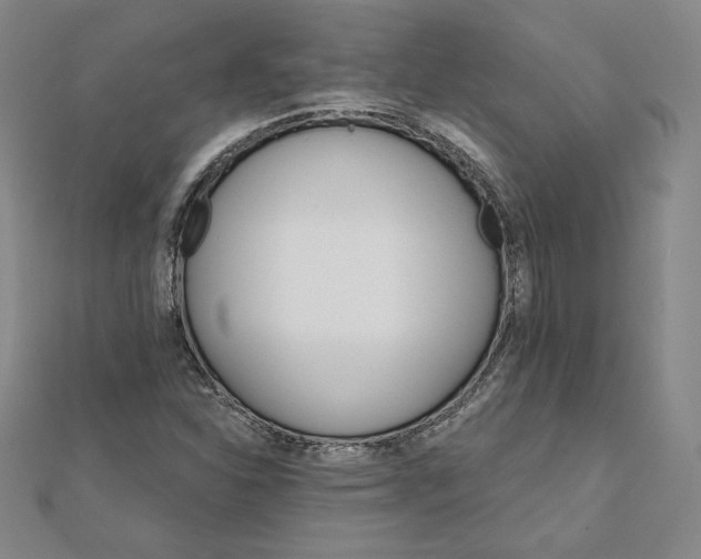 X0000111511310200908041214