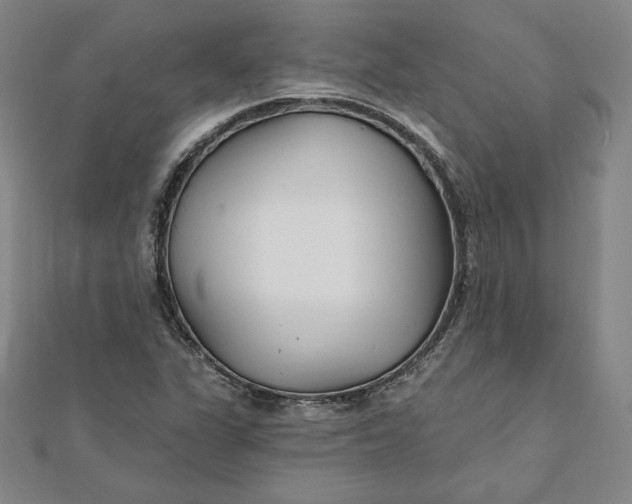 X0000111511311200908041214