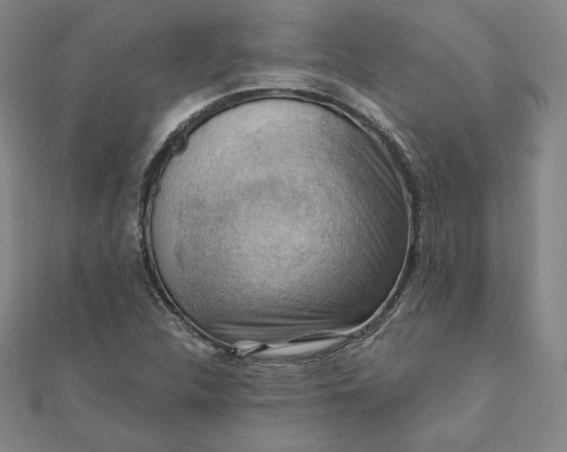 X0000111511312200908041214