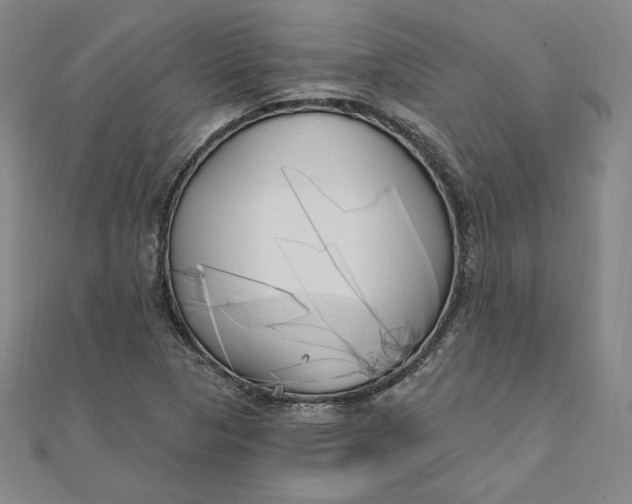 X0000111511313200908041214