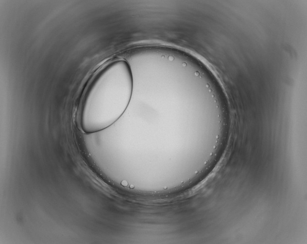 X0000111511314200908041214