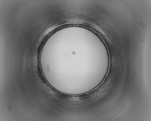 X0000111511315200908041214
