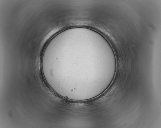 X0000111511317200908041214