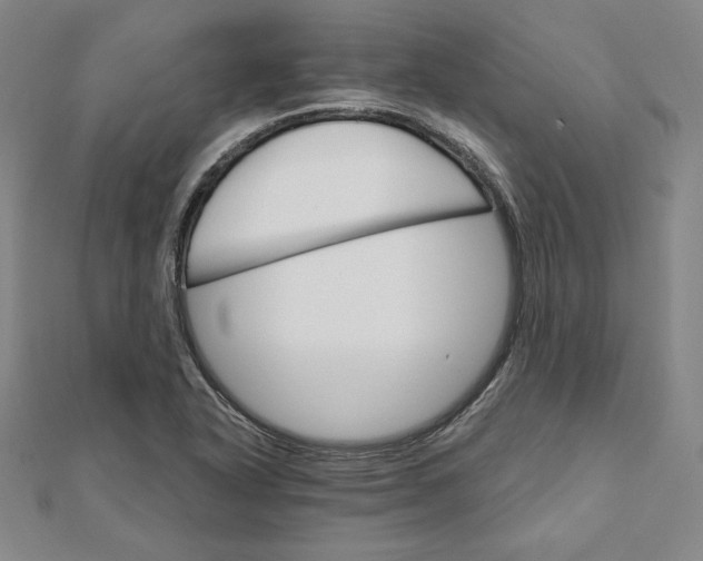 X0000111511318200908041214