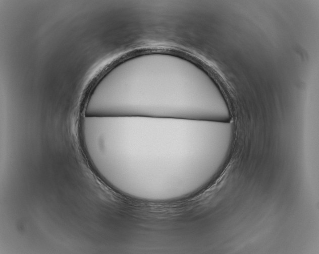 X0000111511319200908041214