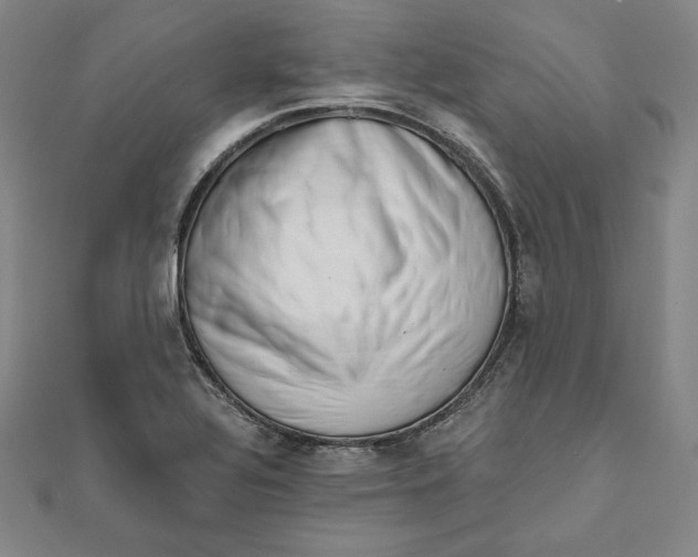 X0000111511320200908041214