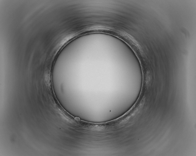 X0000111511321200908041214
