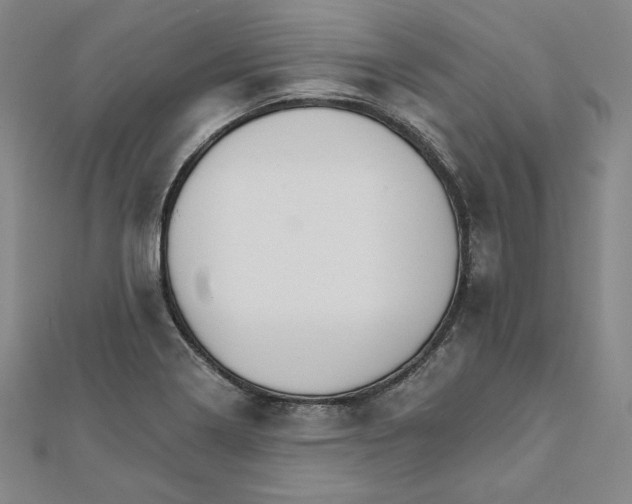 X0000111511322200908041214