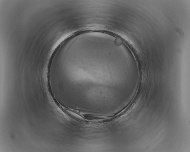 X0000111511325200908041214