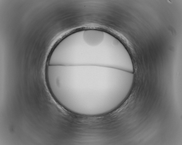 X0000111511327200908041214