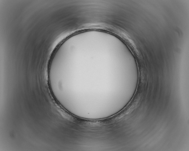 X0000111511328200908041214