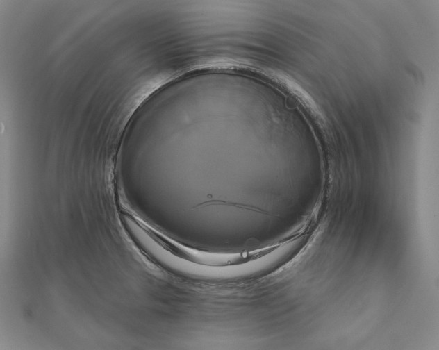 X0000111511329200908041214