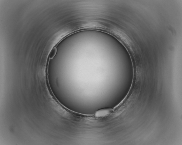 X0000111511330200908041214
