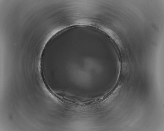 X0000111511331200908041214