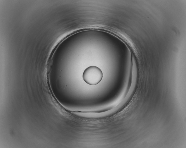 X0000111511332200908041214