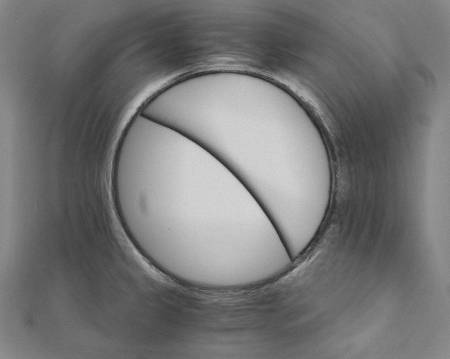 X0000111511333200908041214