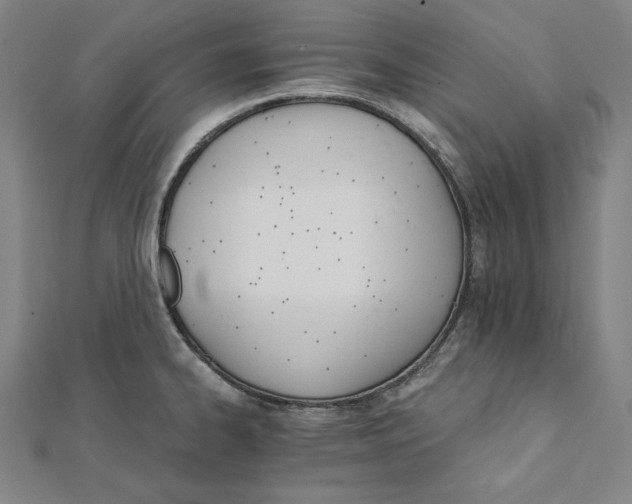 X0000111511334200908041214