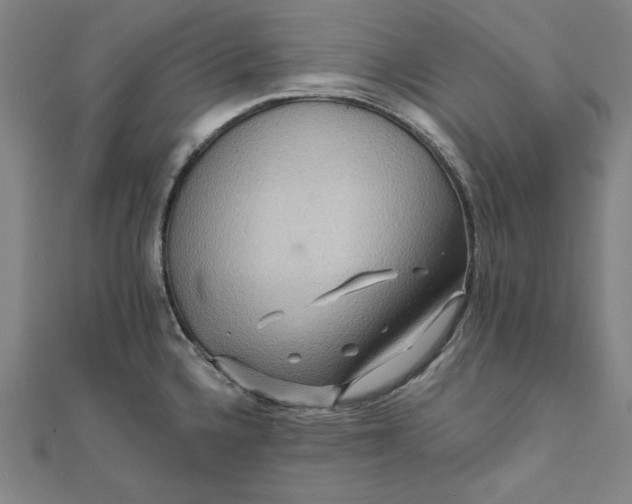 X0000111511336200908041214